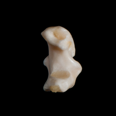 Right_side_view