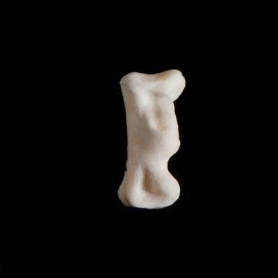 Left_side_view